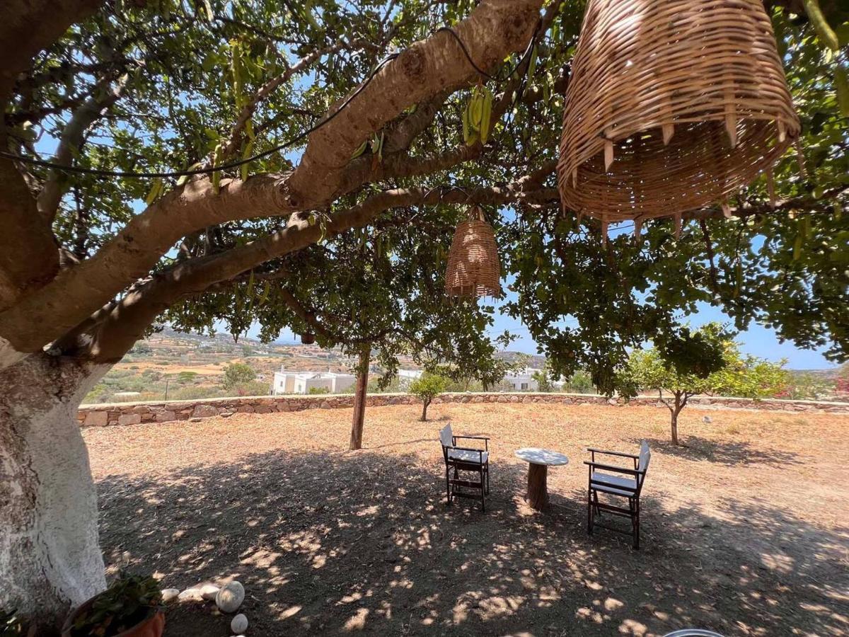 Πέτρινο Εξοχικό Σπίτι Στη Σύρο Agros  Exterior photo
